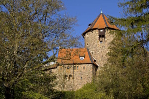 Verein zur Erhaltung alten Kulturgutes Goddelsheim
